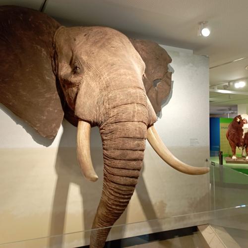 1ab_2023_sonnensystem5