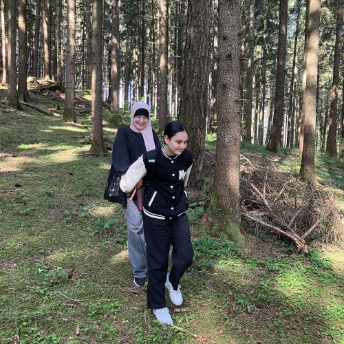 Wald
