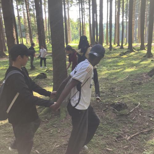 Wald