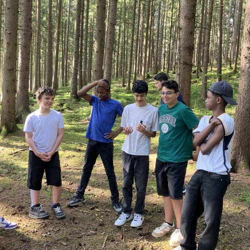 Wald