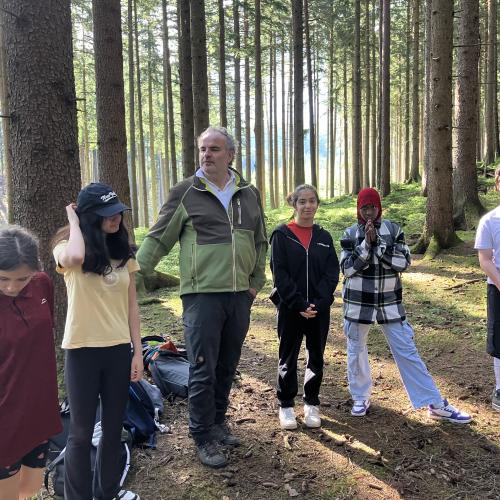 Wald
