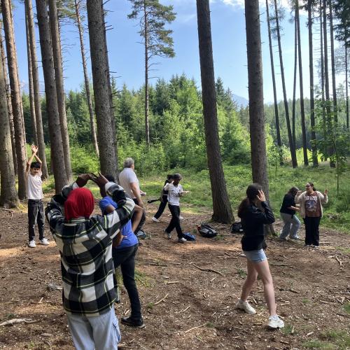 Wald