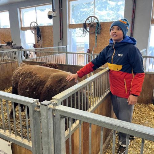 Seefeld_streichelzoo_1a8