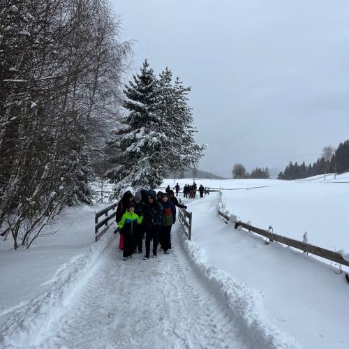 Seefeld_streichelzoo_1a1