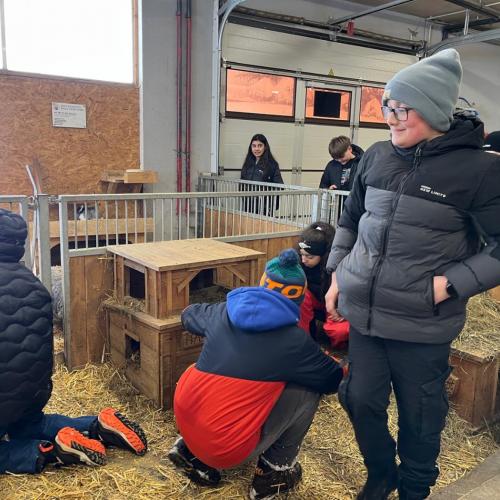 Seefeld_streichelzoo_1a3