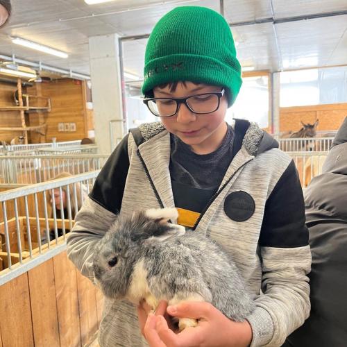 Seefeld_streichelzoo_1a9