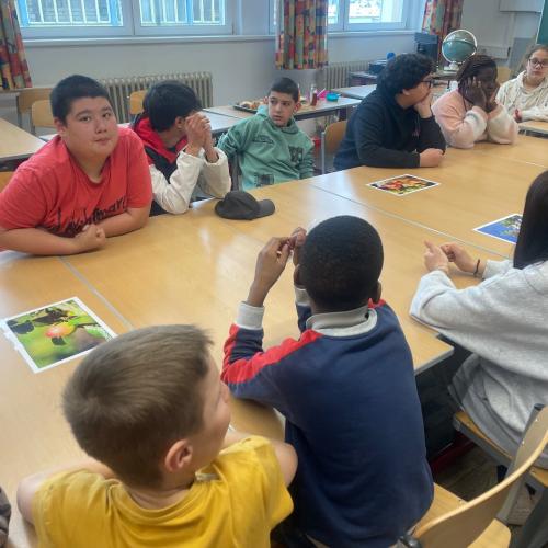 1a_projekt_feldschaft8