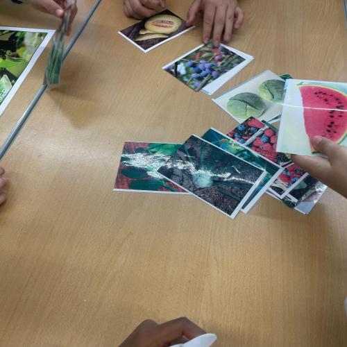 1a_projekt_feldschaft7