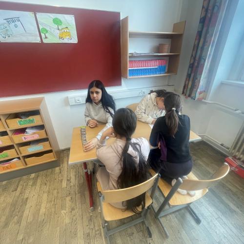 1a_projekt_feldschaft4