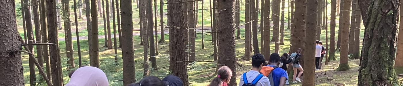 Wald