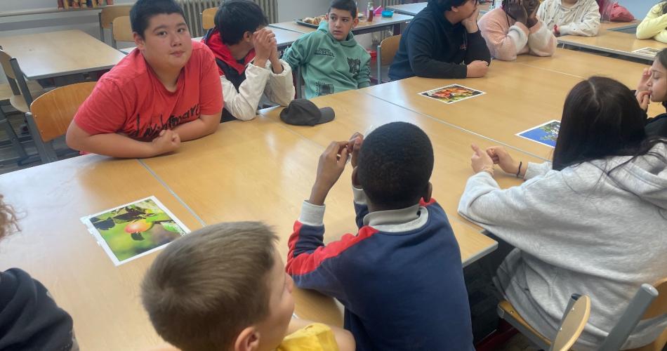 1a_projekt_feldschaft8